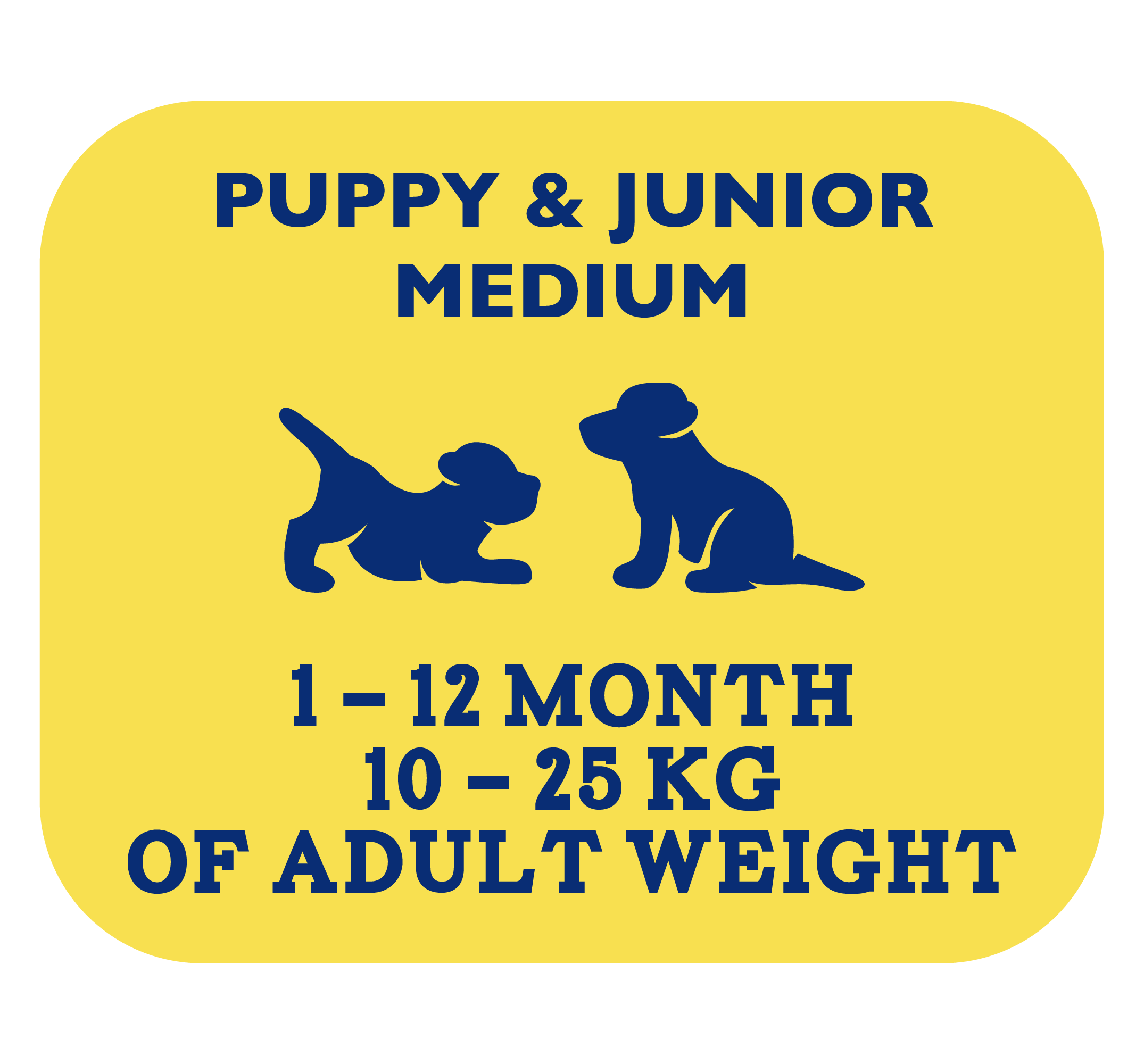Сухой корм для щенков и молодых собак средних пород Brit Premium Dog Puppy and Junior Medium  с курицей 1 кг