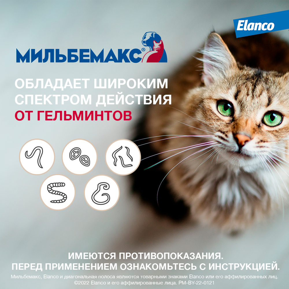 Таблетки Мильбемакс  для котят и молодых кошек, от гельминтов 2 таб