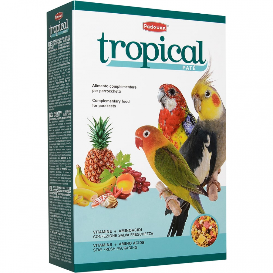 Корм для средних попугаев Padovan Tropical Patee фруктовый, 700 г