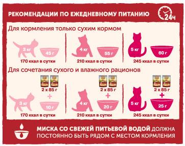 Влажный корм Nature's Table для взрослых кошек, с курицей в соусе, 85 г