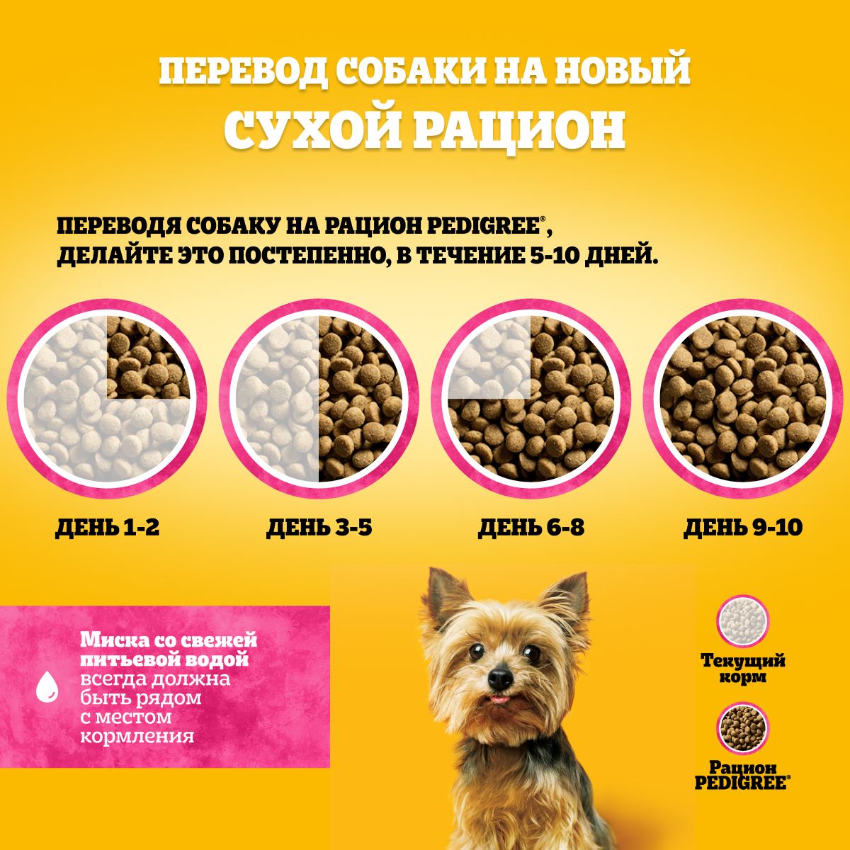 Сухой корм  для собак миниатюрных пород PEDIGREE Adult Mini с говядиной, 1.2кг