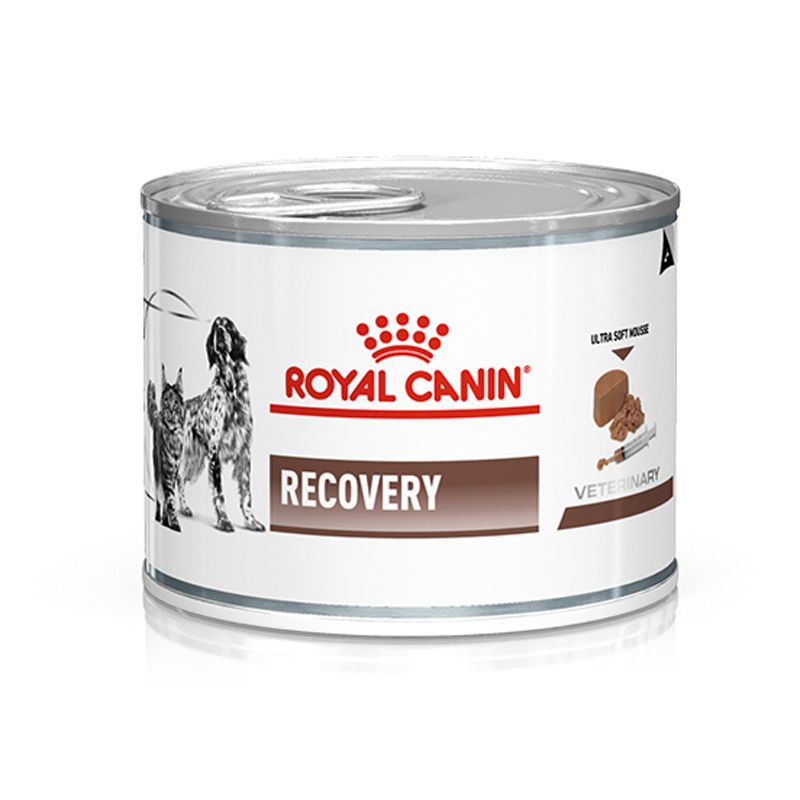 Влажный корм Royal Canin Recovery для взрослых собак и кошек, в период выздоровления,  паштет, 195 г