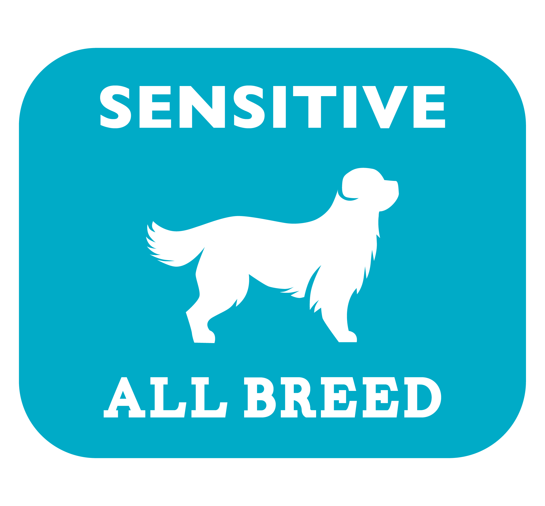 Сухой корм для собак всех пород Brit Premium Dog Sensitive с чувствительным пищеварением, с ягненком и индейкой 1 кг