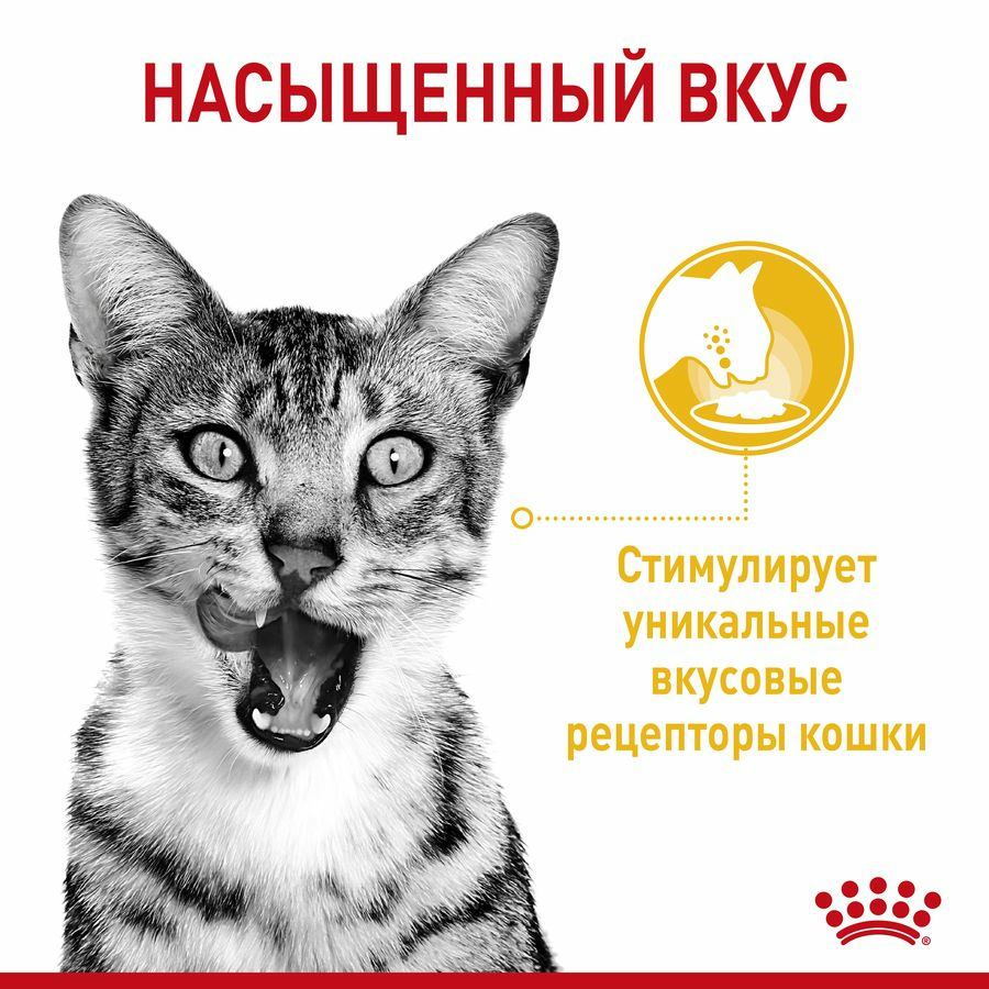 Влажный корм Royal Canin Sensory для взрослых кошек, стимулирующий вкусовые рецепторы, кусочки в соусе 85 г