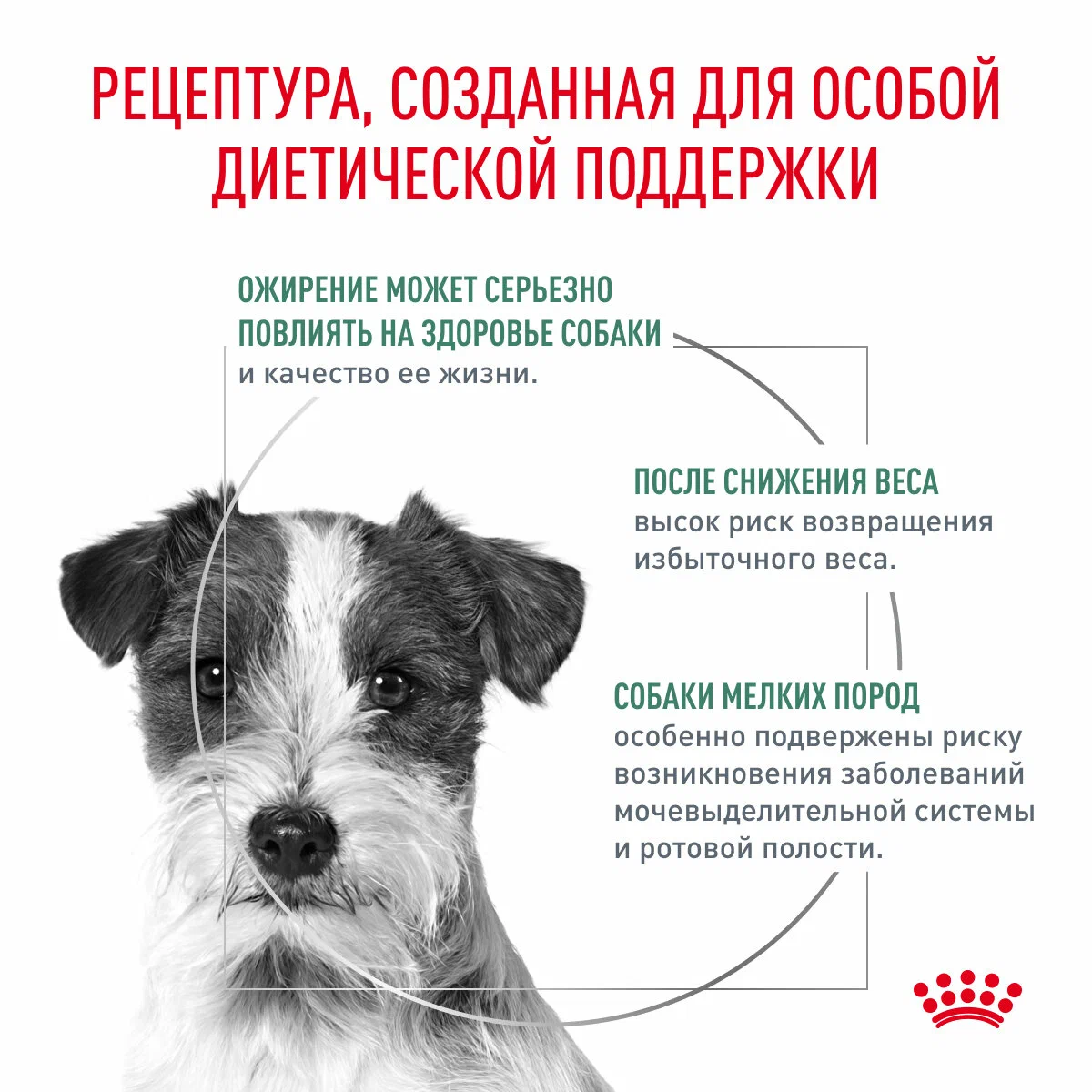 Сухой корм для собак мелких пород Royal Canin Satiety Weight Management Small Dogs 500 г