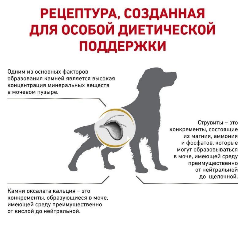 Корм сухой Royal Canin Urinary S/O для взрослых собак, лечение МКБ 2 кг