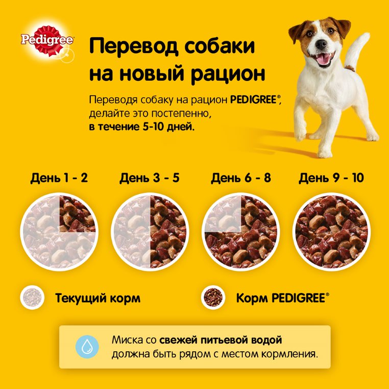 Влажный корм Pedigree для взрослых собак всех пород, с говядиной в соусе, 85 г