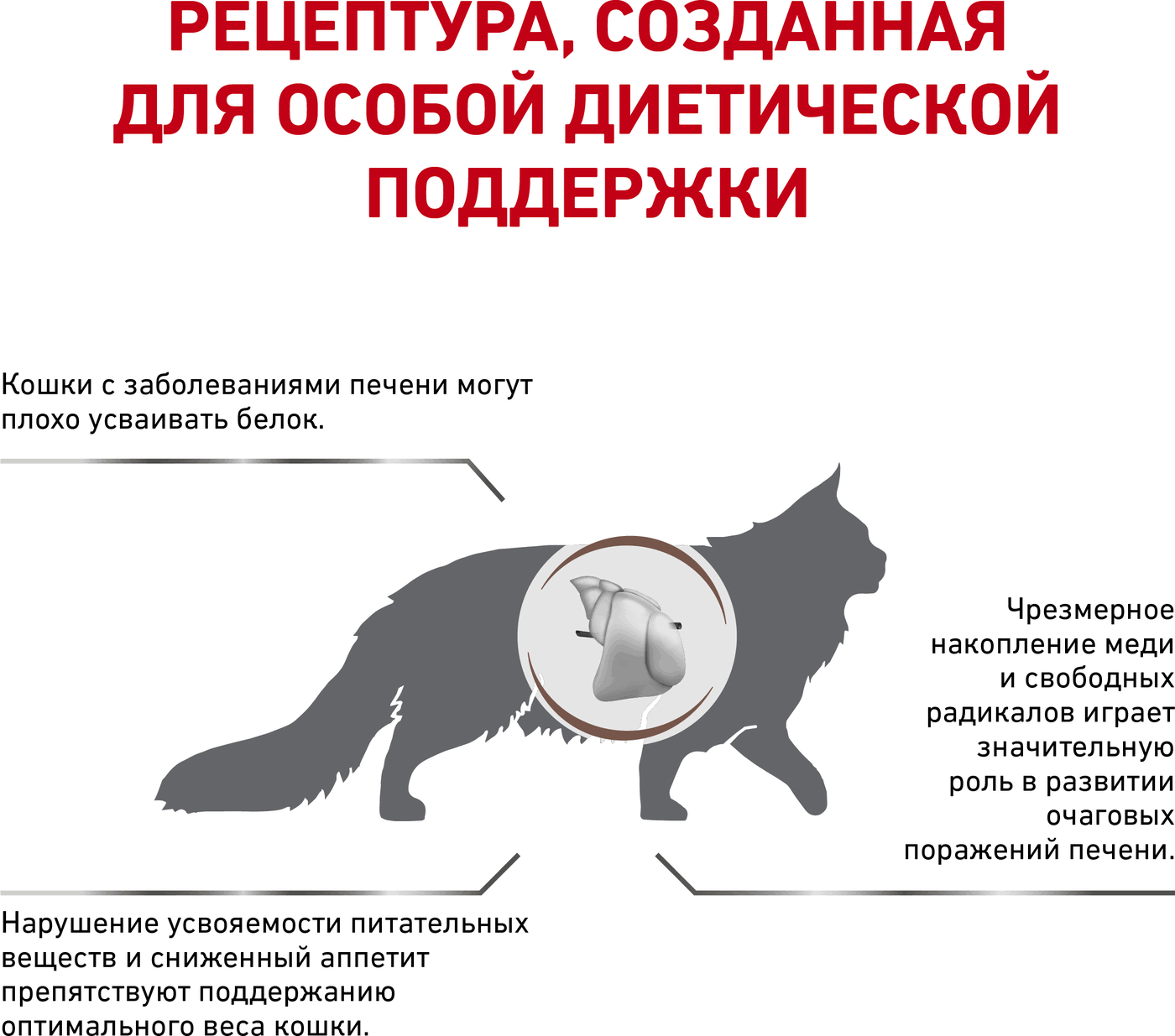 Корм сухой Royal Canin для взрослых кошек при хронической печеночной недостаточности, 2 кг