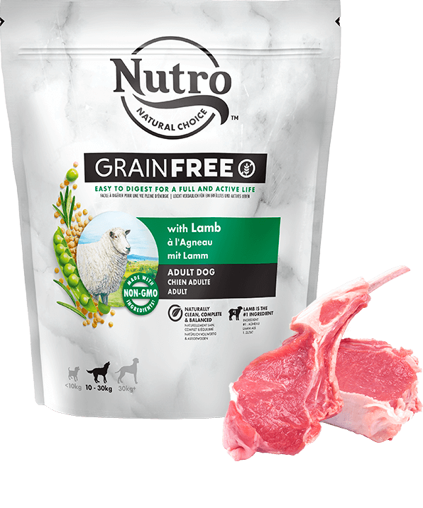 Корм сухой Nutro для взрослых собак средних пород, с ягненком и розмарином 1.4 кг