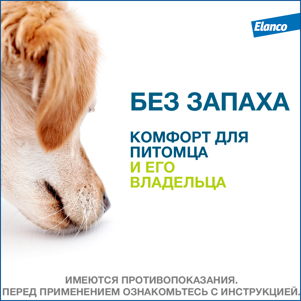 Ошейник Форесто для собак более 8 кг от блох и клещей 70 см, 1 шт