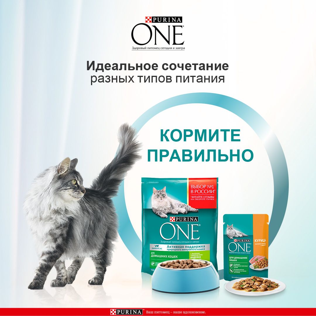 Сухой корм Purina ONE для домашних кошек с индейкой и цельными злаками, 1,5 кг