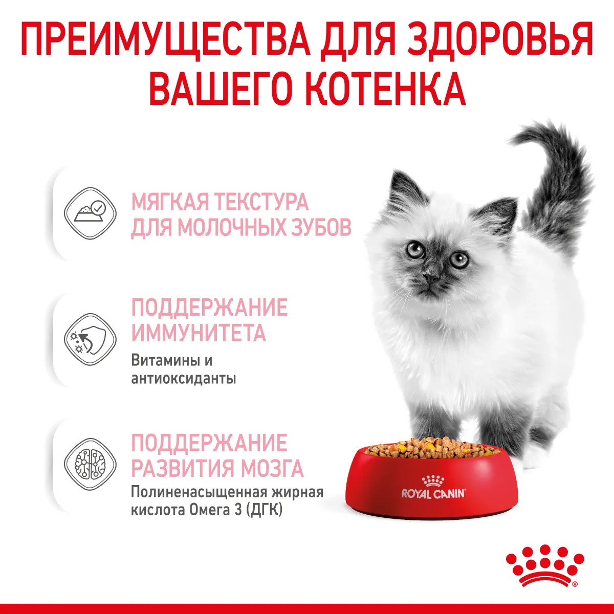 Влажный корм для котят Royal Canin Kitten кусочки в желе, 85 г