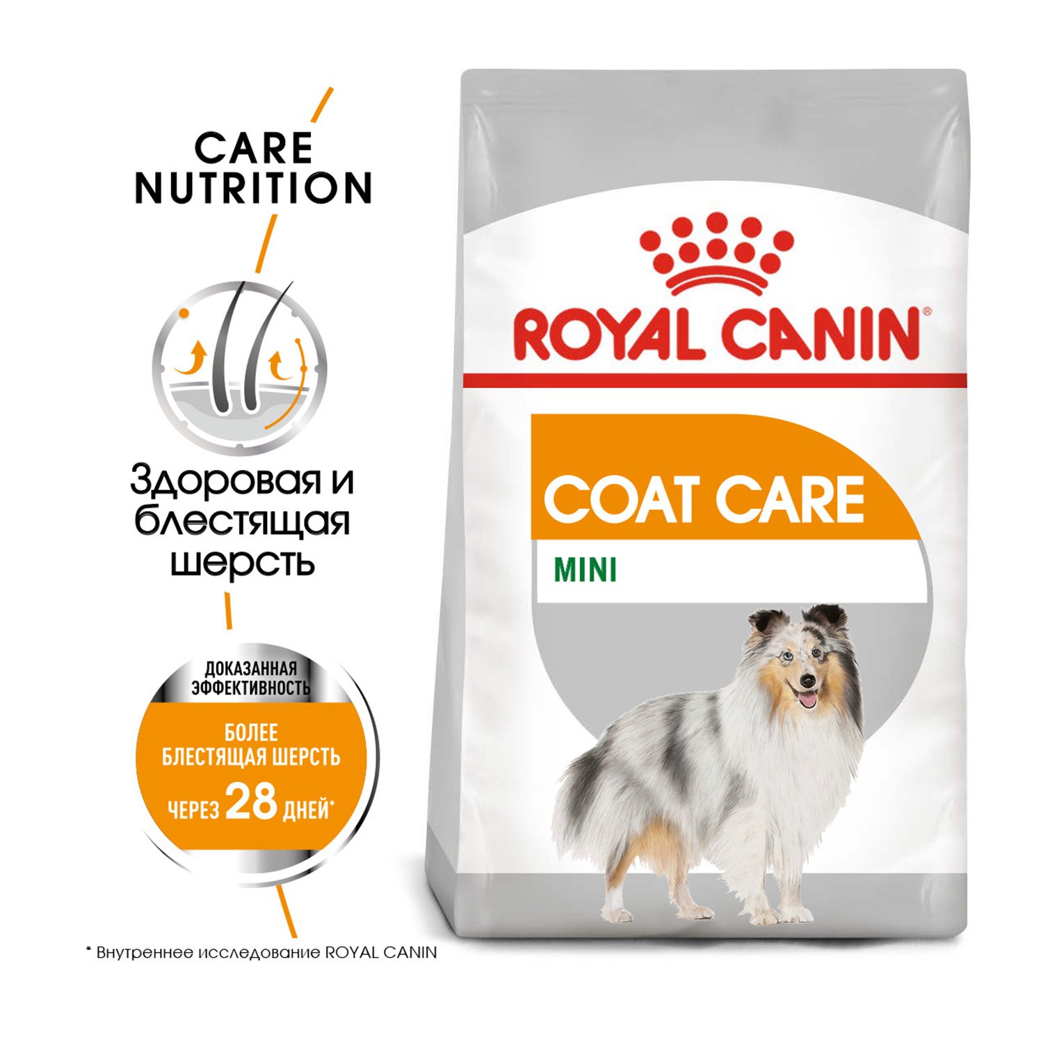Сухой корм Royal Canin Mini Coat Care для взрослых собак мелких пород, с тусклой и сухой шерстью 1 кг
