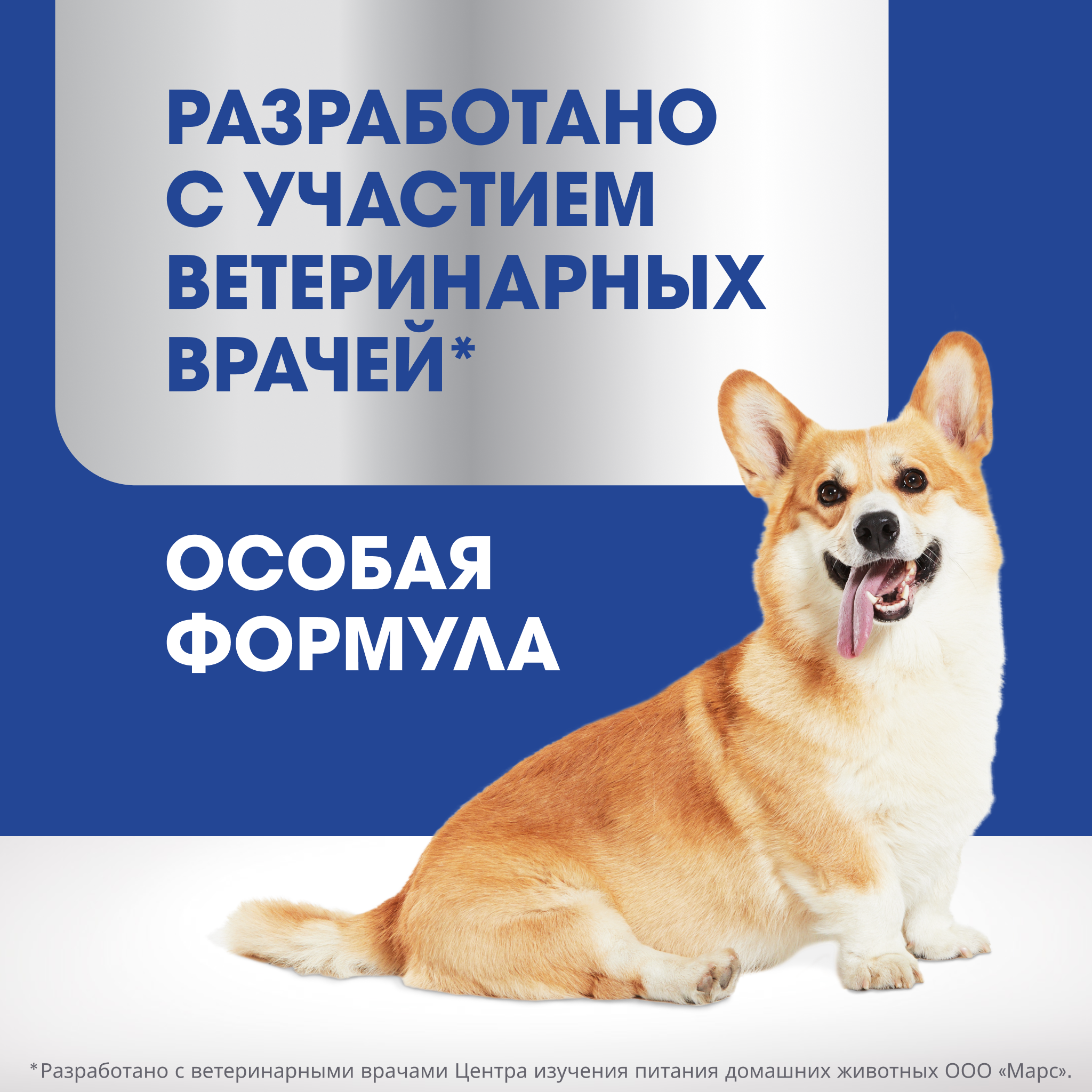 Лакомство для собак PERFECT FIT IMMUNITY «Для поддержания иммунитета» с говядиной 90г