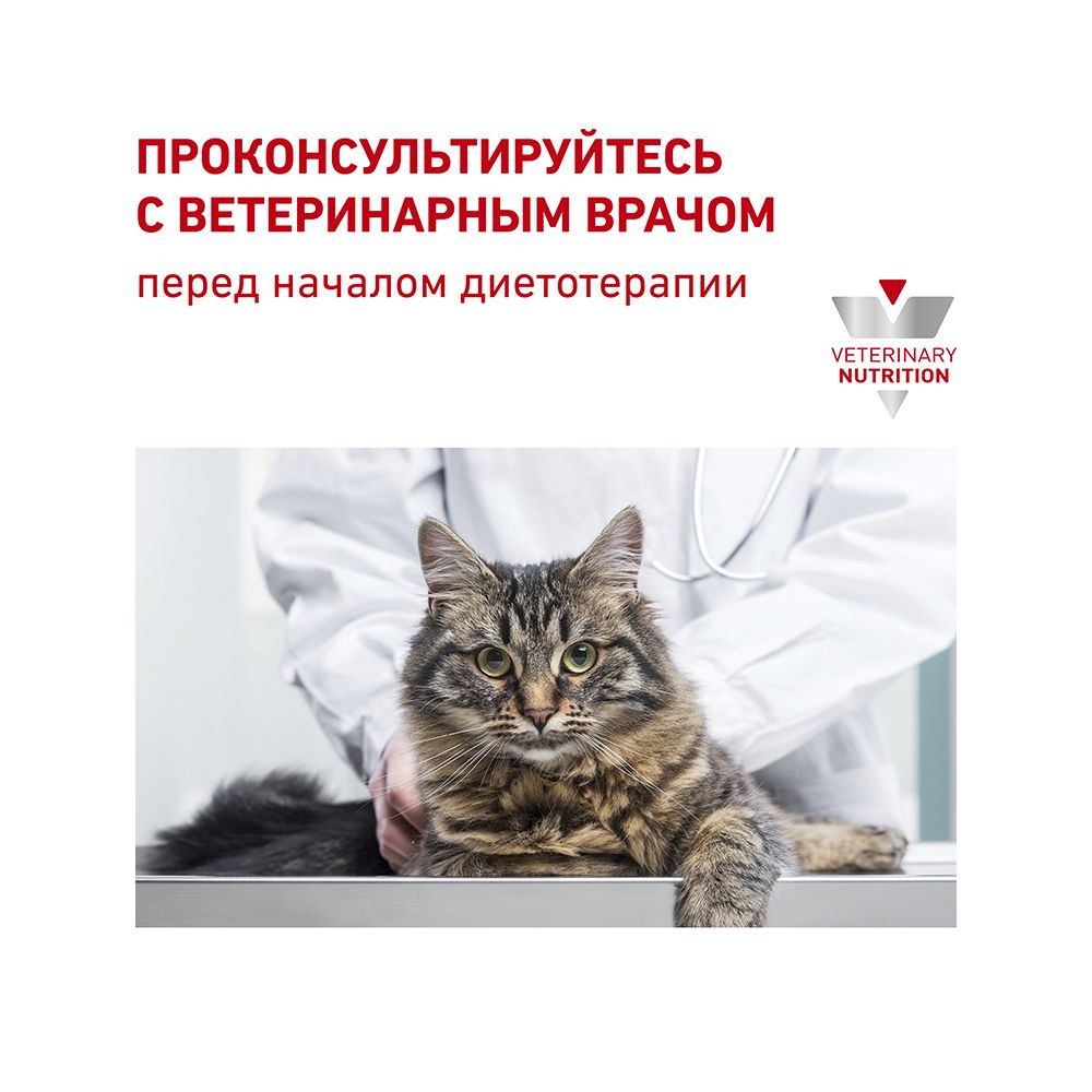 Корм сухой Royal Canin Gastrointestinal Fibre Response для взрослых кошек при нарушении пищеварения, 2 кг