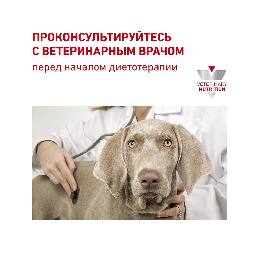 Консервы ROYAL CANIN  для собак  Vet Diet Gastro Intestinal Low Fat при нарушении пищеварения, 410 гр.