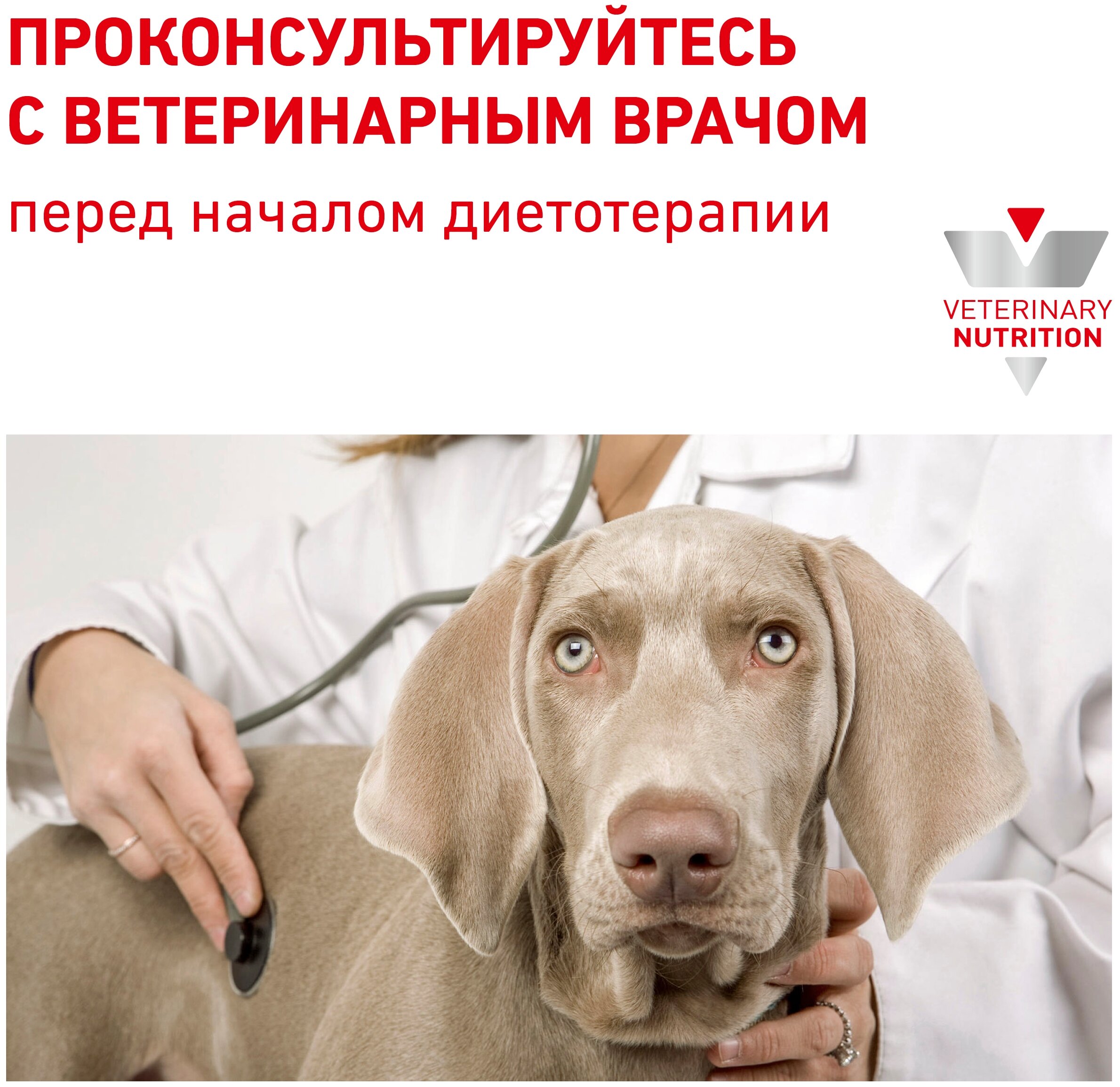 Корм сухой Royal Canin Gastrointestinal диетический для взрослых собак, при острых расстройствах пищеварения, 2 кг