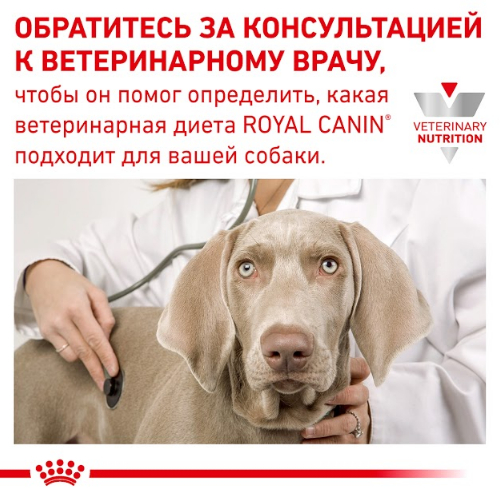Консервы для собак при пищевой аллергии Royal Canin Hypoallergenic паштет, 400 г