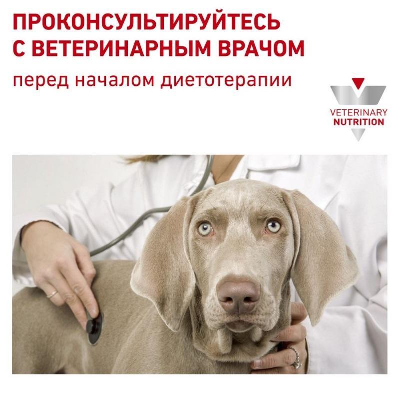 Корм сухой Royal Canin Hypoallergenic для взрослых собак мелких пород, при аллергии, 1 кг