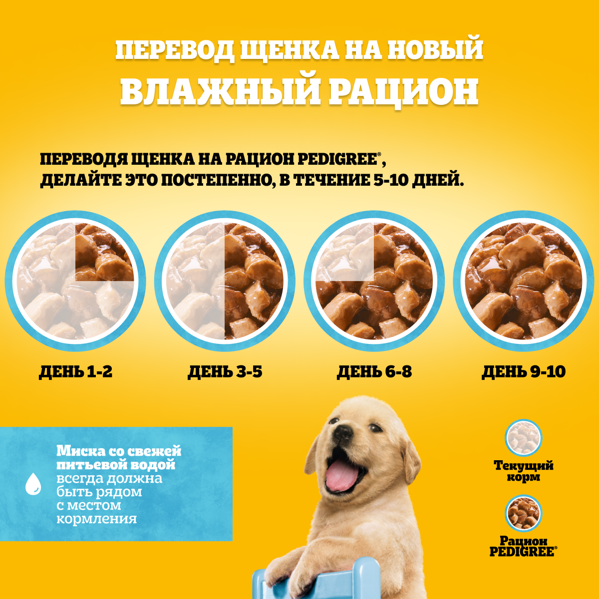 Влажный корм для щенков всех пород PEDIGREE с говядиной в соусе, 85г