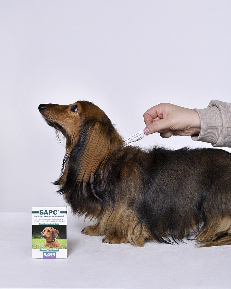 Капли БАРС для собак весом 10-20 кг, от блох и клещей 1 пипетка
