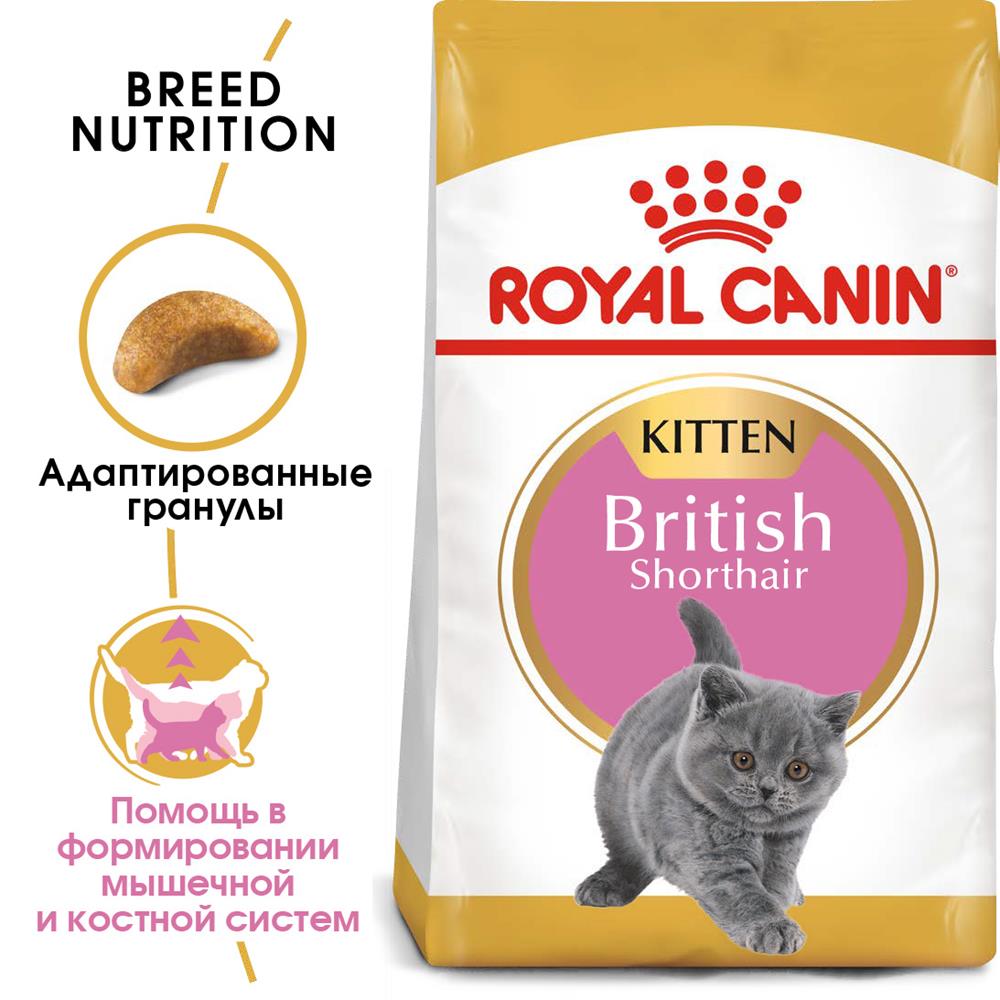 Корм сухой Royal Canin  British Shorthair Kitten для британских короткошерстных котят 400 г