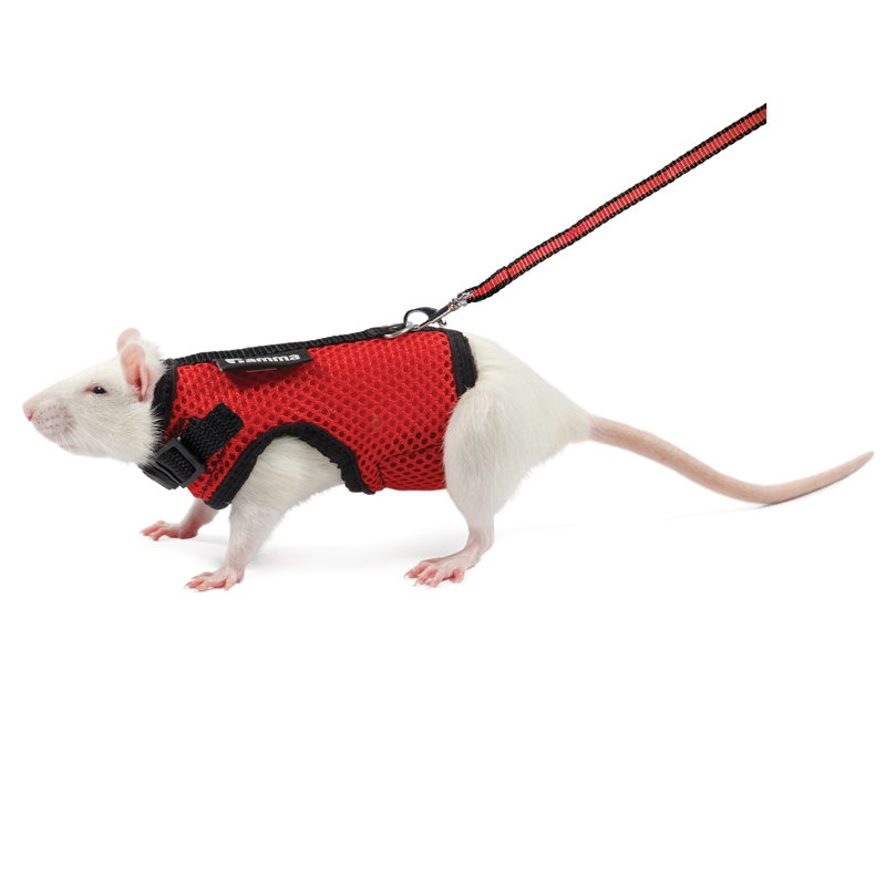 Комплект шлейка и поводок для крысы Лариска, 160*230мм
