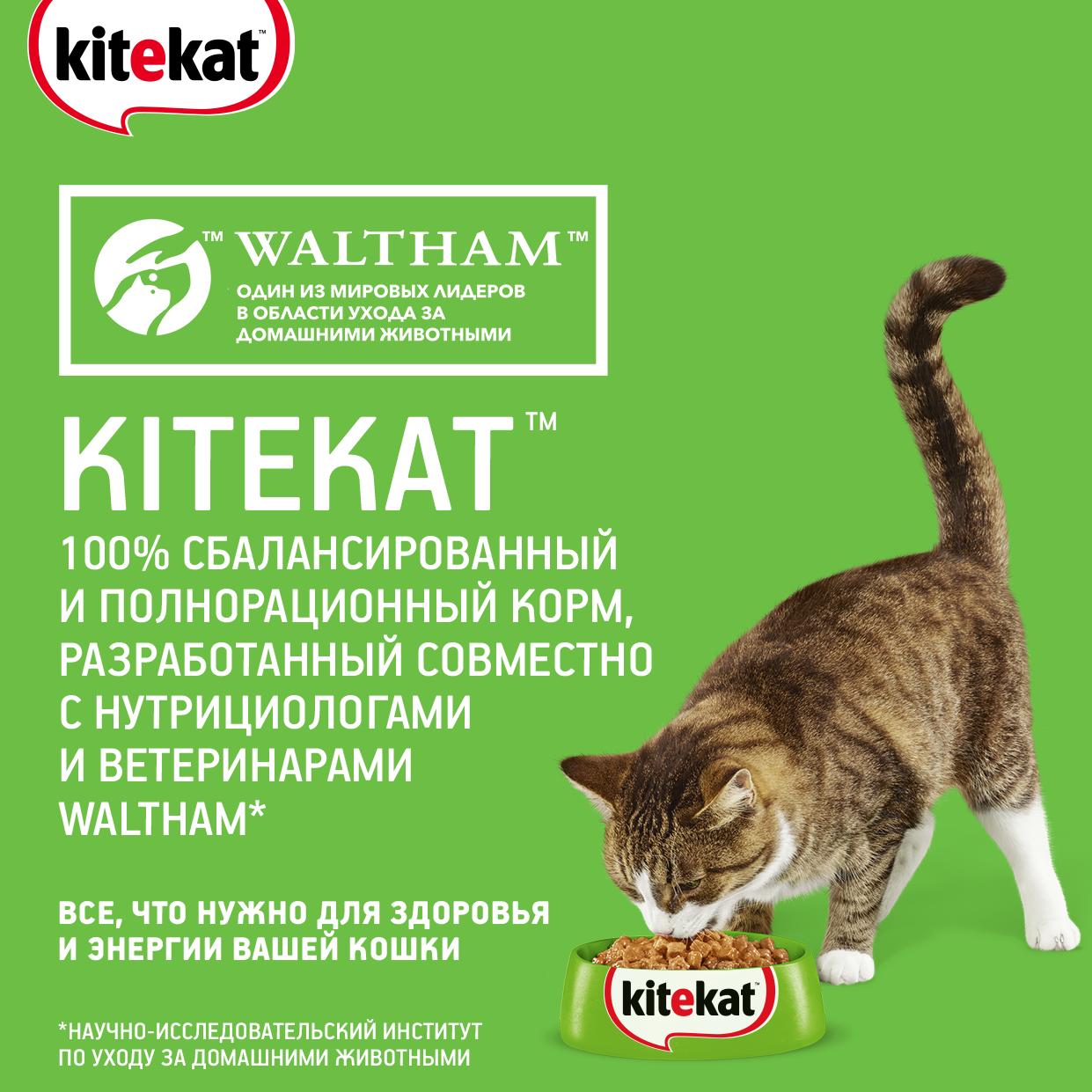 Влажный корм для взрослых кошек Kitekat с говядиной в желе, 85 г