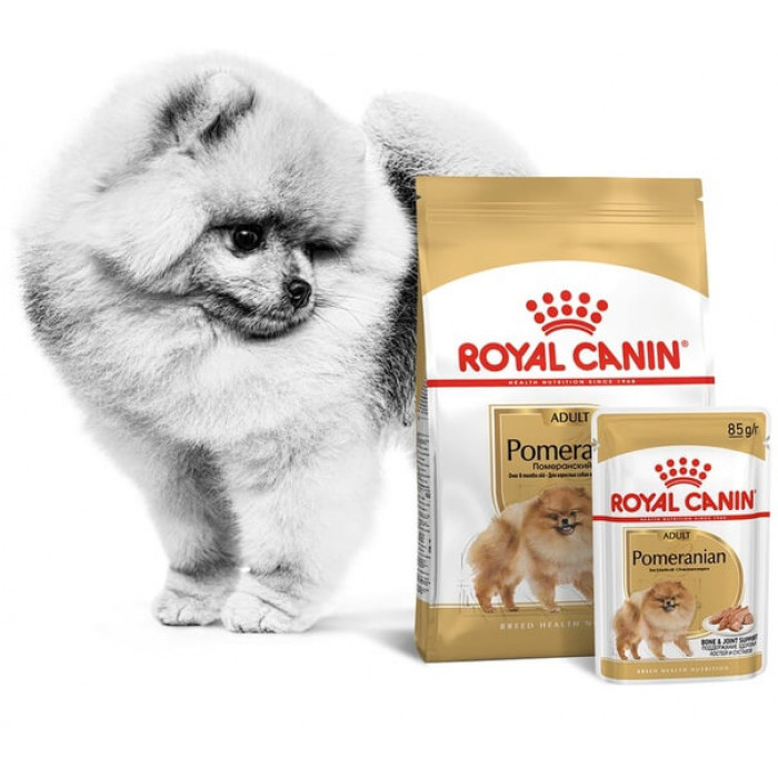 Корм сухой Royal Canin Pomeranian Adult для  взрослых собак породы Померанский Шпиц 500 г + влажный корм 85 г