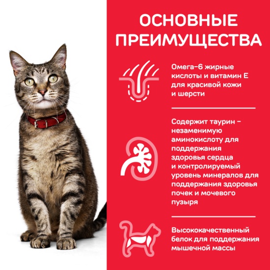 Корм сухой Hill's Science Plan для взрослых кошек для поддержания жизненной энергии и иммунитета, с ягненком, 1,5 кг