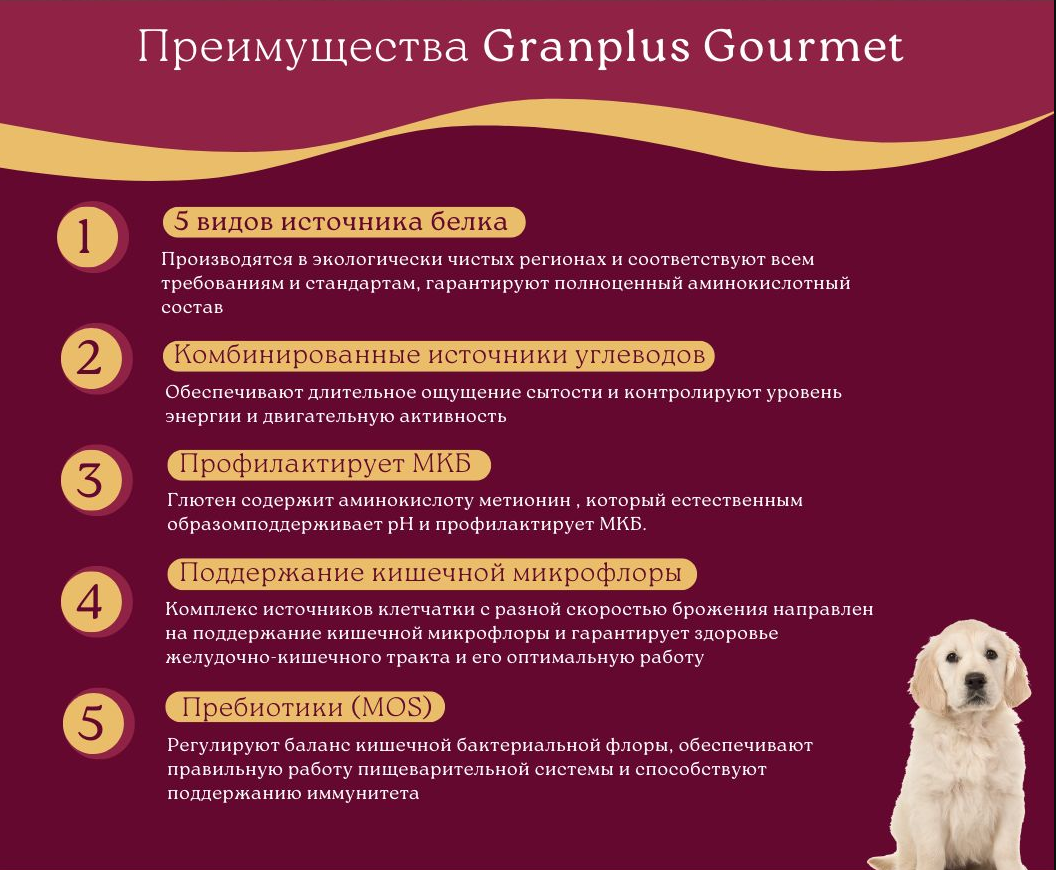 Сухой корм для собак средних и крупных пород GRANPLUS DOG с лососем и цыплёнком 10,1 кг