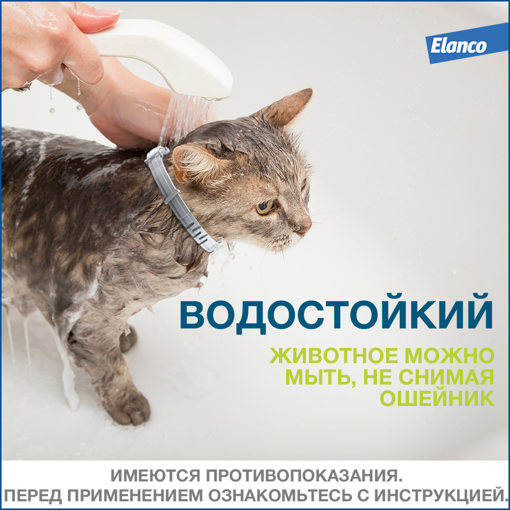 Ошейник Форесто для кошек от блох и клещей защита 8 месяцев, 38 см